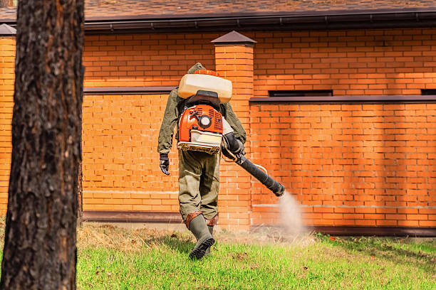 Trusted Termite Control service in Lake Mills, WI - Nex Pest Control